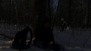 похищенный для леса ЧАСТЬ 27