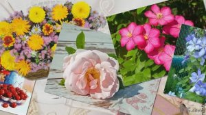 Цветочный калейдоскоп  *