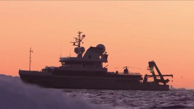 Кто живёт ЗА ЛЕДЯНЫМ БАРЬЕРОМ Антарктиды