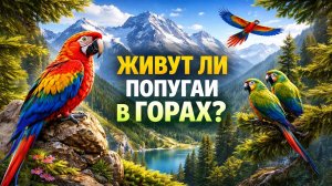 ЖИВУТ ЛИ ПОПУГАИ В ГОРАХ?