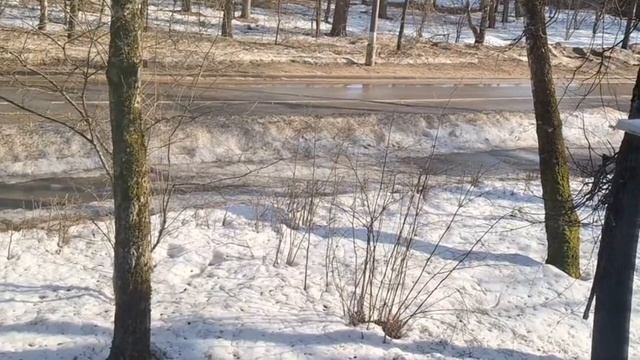 Наблюдаю за белочкой из окна.