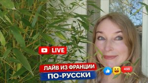 Лайв с фазенды во Франции. Заходите!