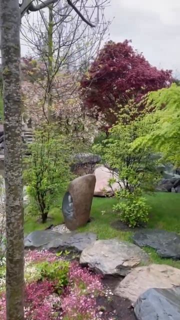 Краснодар  Японский сад #паркгалицкого #стадионкраснодар #respect  #shorts #японскийсад