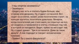 Двое_в_кустах_ночью_АНЕКДОТЫ_ДЛЯ_ВЗРОСЛЫХ_#анекдоты_#подборкаанекдотов