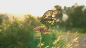 дыши глубже