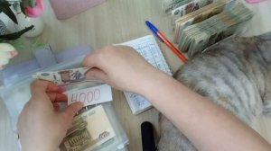#12/2026 Распределение с помощником 😺- сумма 11800 рублей 💰