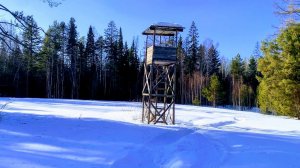 ПРОБИРАЮСЬ на БЕШЕНОЙ ТАБУРЕТКЕ по СВОИМ ЗАНАЧКАМ в ТАЙГЕ,ПРОВЕРИЛ ТОЧКУ с СПУТНИКА