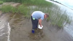 Деревенская жизнь! Пекём блины,жарим рыбу, за дикой смородиной!