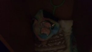 VID_20260318_203456.3gp