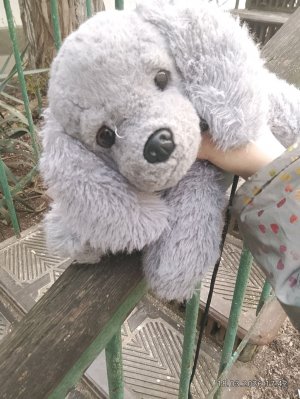 играю с Соней