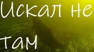 Не нужно по шаблону #Подводная охота