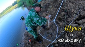 Поймал хорошую щуку на жмыховку