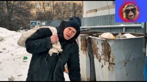 Возвращение к истокам