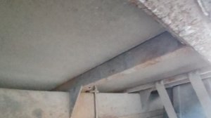 рефрижератор 2019 некст