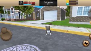 играю в Котика 🐱 🌈❤️👍😅