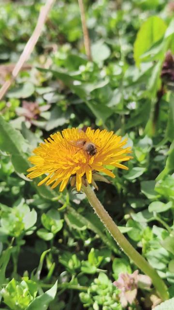 19.03.2026 #сегоднятак #природа #прырода #табиғ #自然 #natureza #natura #자연 #طبيعة #प्रकृति #nature