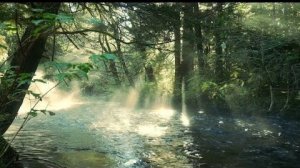 КОГДА РЯДОМ НЕТ НИКОГО…ролик от Яны…