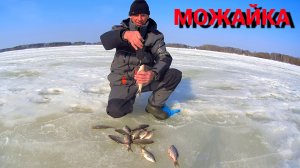 ЖИРНАЯ ПЛОТВА из ОДНОЙ ЛУНКИ. Рыбалка на МОЖАЙКЕ. Окунь на гвоздик.