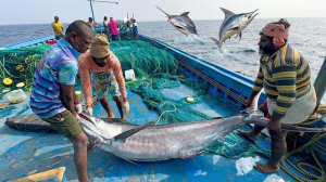 Десятый день: мы остались в открытом море и поймали много крупной рыбы