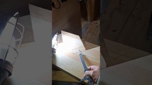 1000052626.mp4 (Собака наблюдает за устройством лестницы на 2-ой этаж в доме А-фрейм)