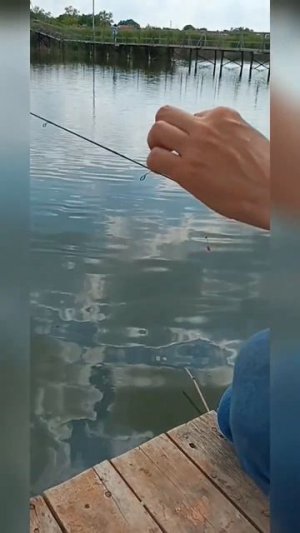 Когда рыбалка это что-то большее.