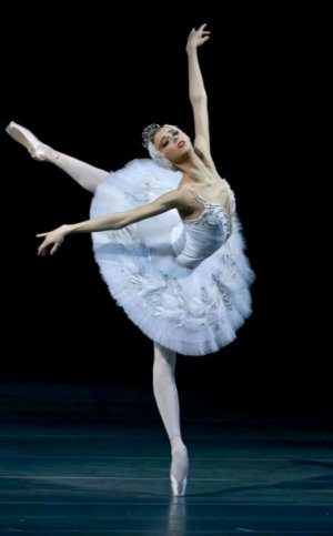 Спорт.Гимнастика