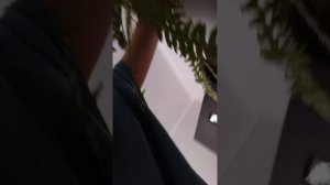 Открываем разные штучки