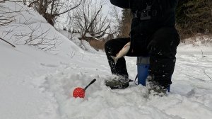 Старый омут. В поисках ельца