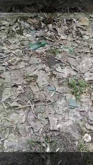 Домашний котенок на улице!  Красивый нежный котя с окрасом табби в поиске дома. Предположительно мал