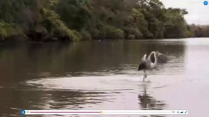 Power Up 1 Unit 9 What can we see on holiday_