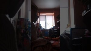 у меня теперь 8 подписчиков!  я и Микки весёлые приключения познавайка с Микки ♥️🐶🐕