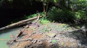 Работа и жизнь в США. Отдых в Кентукки. Доминиканские багги.(SAMARA AUTO USA)