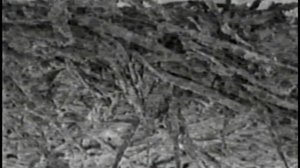 Backrooms 20 - Wall and carpet analysis