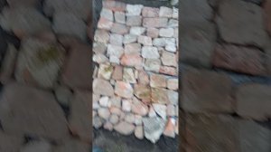 Как просто сделать дорожку в огороде из кирпича и камней! Юг России🌴.