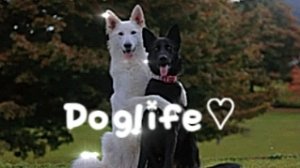 видео глазами Финика ( мне кажется получилась фигня) ♡