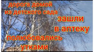 Дорога домой из сада/Зашли в аптеку/Купили ящик для рассады/Полюбовались утками.