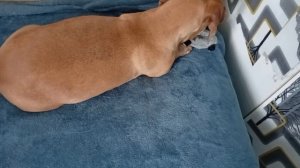 1000015385.mp4 Обо всём