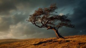 Пятница 5 Панк рок