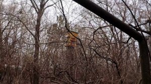 Дендрарий в Волгограде