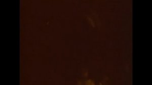 Ядерная катастрофа. Записки мертвого человека