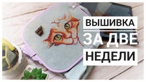 Продвижения за две недели марта | Вышивка крестом