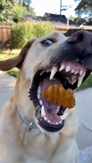 Ловец вкуснях😋))