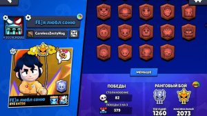 обзор моего акаунта в бравл старс!!!