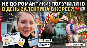 Реальная жизнь в Корее: Квест с банком и ID вместо свидания на 14 февраля 😅 Февраль 2025