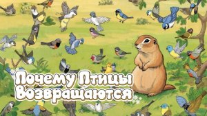 Почему птицы возвращаются? Сусля расскажет