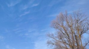 Ура! Весна!....