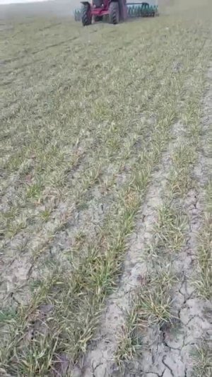 Карбон работает по бетону ! 18.03.2026 Краснодарский край, Анапский район.