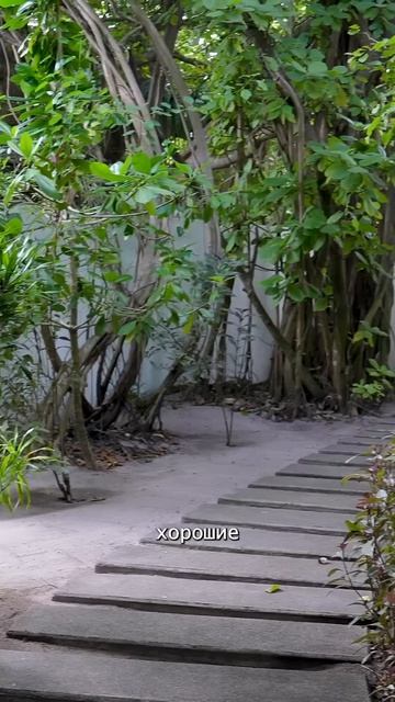 Robinson Club Noonu Maldives