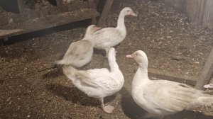 Весна 2026. Хороший день. Саяногорск Хакасия