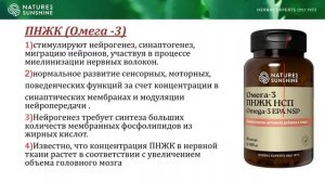 video1458928998 Перезагрузка мозга